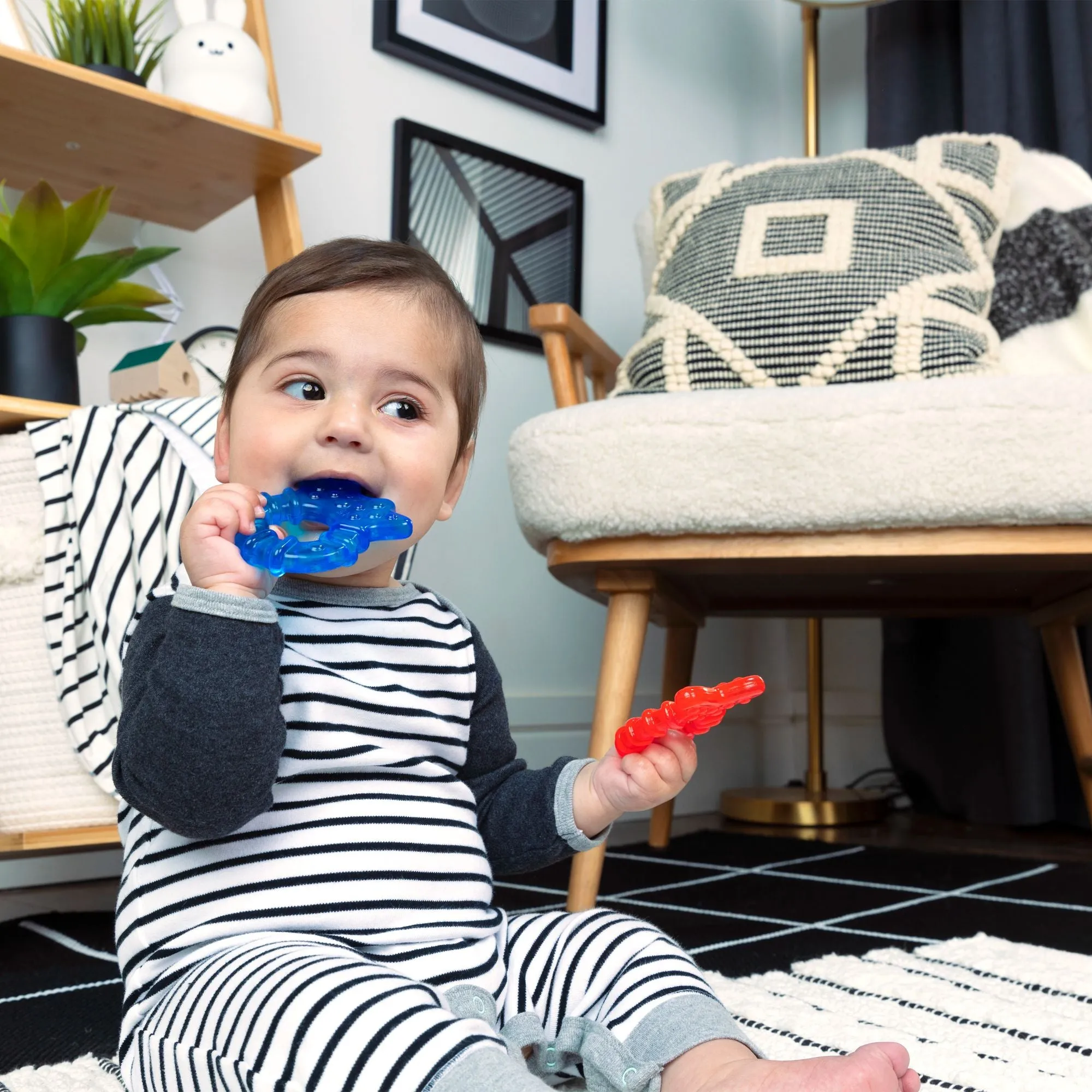 Baby Einstein Cool Critters Teether Set