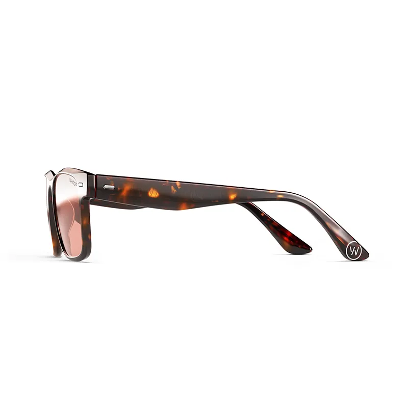 Remy Tortoise Frames with Evening Lenses