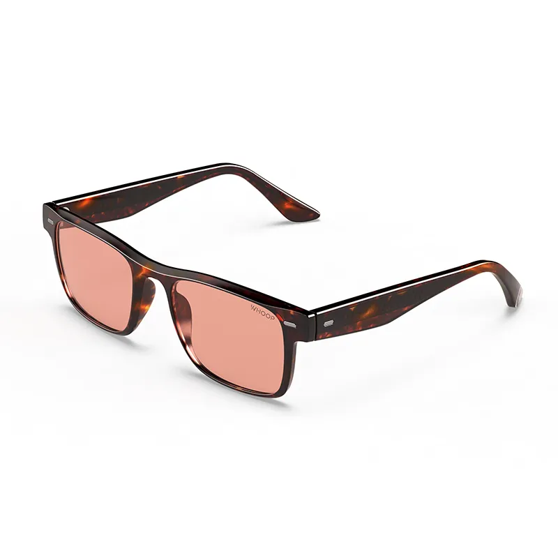 Remy Tortoise Frames with Evening Lenses