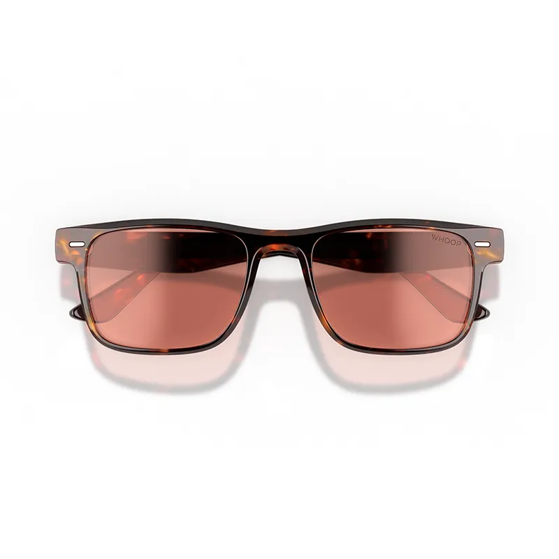 Remy Tortoise Frames with Evening Lenses