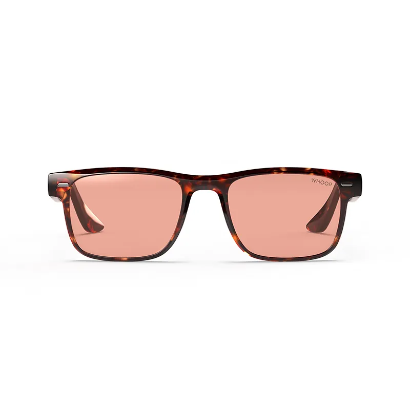 Remy Tortoise Frames with Evening Lenses