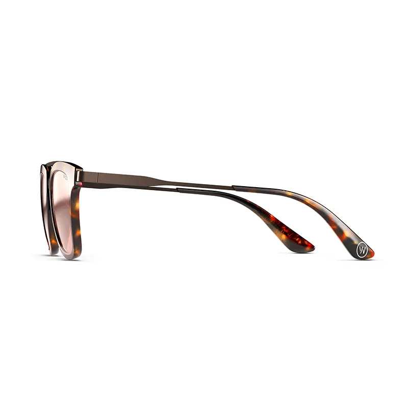 Spindle Tortoise Frames with Evening Lenses